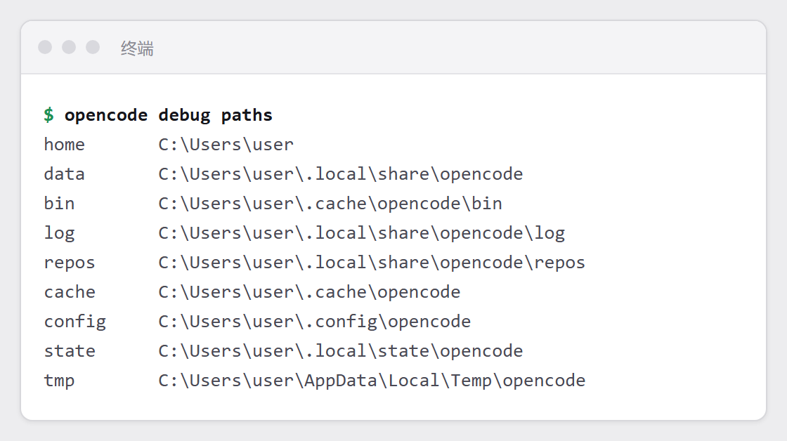 The output of opencode debug paths